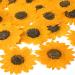 24 Pcs Dried Pressed Flowers for Resin Real Nature Dried Sunflowers Yellow Dried Sunflower Petals for Jewelry Candle Soap Making DIY Art Craft Scrapbooking Supplies