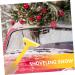 FRCOLOR 3pcs Snow Scraper Set - Car Deicer Water Key Ice Scraper & Violin Bow Clip for Windshield - Essential Winter Tools for International Shipping - Buy Online on GoSupps.com