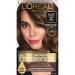 L'Oreal Paris Superior Preference Fade-Defying + Shine Permanent Hair Color  UL61 Ultra Light Ash Brown  Pack of 1  Hair Dye Blacks & Browns UL61 Hi-Lift Ash Brown 1 Count (Pack of 1)