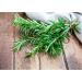 Country Range | Dried Rosemary | 4x300g - Buy Online on GoSupps.com