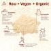 Infinity Organic Plant Based Protein Powder | Vegan Hemp & Brown Rice Protein | Enzymes & Nopal Cactus | Sugar Free Soy Free Non-GMO (580g - Buy Online on GoSupps.com
