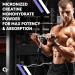 Micronised Creatine Monohydrate Powder | Lean Muscle & Strength Supplement | Unflavoured | 33 Servings - 100g - International Shipping Available - Buy Online on GoSupps.com