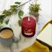 AIRPURE Large Candle Scented Apple Cinnamon Fragrance 18oz Jar 120 Hour Ornamental Candles Fill The Room with a Warm and Homey Fragrance for The Bedroom Bathroom Family Room or Office - Buy Online on GoSupps.com