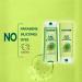 Garnier Fructis Pure Clean Zero Silicone Fortifying Conditioner for Normal to Oily Hair with Citrus Extract 621mL 621 ml (Pack of 1) Conditioner - Buy Online on GoSupps.com