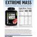 NutraBio Extreme Mass Gainer Protein Powder 53G Protein Clean Weight Gainer Increase Muscle Mass Full Spectrum Amino Acid - Vanilla 6 Pound Vanilla 6 Pound (Pack of 1) - Buy Online on GoSupps.com