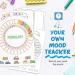 24 Piece Plastic Journal Stencil Set - Ultimate Productivity DIY Templates for A5 Journal - Classic Style - Buy Online on GoSupps.com