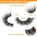 Shop Luxe Mink Fluffy Cat Eye False Eyelashes | Eefofnn Wispy 17mm Volume Lashes - Natural Look & International Shipping - Buy Online on GoSupps.com