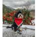 Buy Lionheart Glory Dog Haller 1 Packer Washable Soft Cotton Christmas Neck Scarf - Adjustable Red Neckerchief for Small Dogs - Buy Online on GoSupps.com