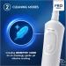 Oral-B Pro Kids Electric Toothbrush Christmas Gift Set | 2 Modes | Kid-Friendly Design | Ages 3+ | Disney Stickers | Special Edition - Buy Online on GoSupps.com