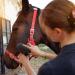 Harrison Howard Horse Grooming Kit 11-Piece Equine Care Series-Dark Charcoal - Buy Online on GoSupps.com