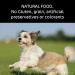 Bob & Lush Broccoli and Turmeric Natural Defense for Dogs Anti-Inflammatory Dog Snack 12 x 200g - Buy Online on GoSupps.com