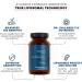 ATLANOVA Dr. Galland s TLC - True Liposomal Supplement Turmeric Curcumin Supplement - Luteolin Black Cumin Seed & 5% Thymoquinone High Absorption Formula Vegan - 30 Servings - 60 Capsules - Buy Online on GoSupps.com