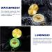 Portable Brass Children's Compass - Waterproof & Fluorescent Navigation Tool for Camping & Hiking - International Shipping - Buy Online on GoSupps.com