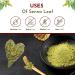 Organic Way Senna Leaf Powder - Premium Grade Organic & Kosher Certified | Vegan Non-GMO Gluten-Free Superfood | USDA Certified | Ships Internationally (1 LB - Buy Online on GoSupps.com