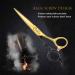 JASON 6'' Professional Barber Shears 440C Japanese Stainless Steel - Salon Razor Edge Hair Cutting Scissors - Buy Online on GoSupps.com