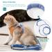 Geeric Adjustable Cat Dishes & Escape Proof Harness Set | Reflective Stripes | Ideal for Small Cats - Shop Internationally - Buy Online on GoSupps.com