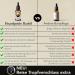 Beardpride Bio Bart l - 100% Naturreines Bartwuchs l f r weichen Bart | Original Bart Oil f r M nner | Beard Care Geschenk Joseph's Oil 30 ml - Buy Online on GoSupps.com