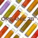 Organic28. 100% Organic Body Lotion USA Made. 37 Botanicals. 2XSize. All Natural Body Cream For Women. Anti Aging Body Moisturizer. Jasmin Aromatherapy Body Butter. All Natural Body Lotion.6.8 Fl.Oz - Buy Online on GoSupps.com