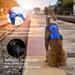 Funfox Adjustable No-Pull Dog Harness for Small & Medium Dogs - Breathable Safety Harness in Blue - Buy Online on GoSupps.com
