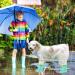 Waterproof Dog Raincoat with Hood | Petcute Medium & Large Blue PVC Coat - Breathable & Transparent - Buy Online on GoSupps.com