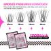 Calailis DIY Individual Eyelashes - 120 PCs D Curl Cluster Lashes for Home Application (10-16mm A12 Mix) | Shop Quality Lash Extensions - Buy Online on GoSupps.com