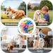 Interactive Sniffing Ball for Dogs | Washable Smell Training Toy | Stress Relief for Small & Medium Dogs - 20cm Colorful - Buy Online on GoSupps.com