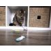SmartyKat Crinkle Fish Catnip Toys for Cats & Kittens - Stimulating and Fun Play - 9-Set, Multiple Styles - Buy Online on GoSupps.com