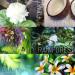 Ola Coconut Body Butter - Nourishing Tropical Oils & Plant Extracts | 2.1oz | International Shipping - Buy Online on GoSupps.com