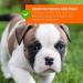 Pro-Kleen Artificial Grass Cleaner 5L - Dog-Friendly Formula with Lavender Scent - Concentrated Solution for 15 Litres - Home Astro Turf Deodorizer - Buy Online on GoSupps.com