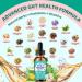21 in 1 Herbal Gut Cleanse Drops Wormwood Black Walnut Zeolite Chlorella 10B Probiotics & Clove Supports Digestive Health Liquid Detox for Adults & Kids Alcohol-Free Strawberry Flavor 2oz Strawberry 2 Fl Oz (Pack  - Buy Online on GoSupps.com