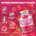 Calcium Citrate Gummies 1200mg - Sugar-Free Chewable Supplement for Women & Men with Bone Muscle & Immune Support - Raspberry Flavor 60 Count - Buy Online on GoSupps.com