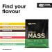 Optimum Nutrition Serious Mass Protein Powder with Creatine Glutamine 25 Vitamins and Minerals Chocolate Mint Flavour 16 Servings 5.45KG Chocolate Mint 16 Servings (Pack of 1) - Buy Online on GoSupps.com