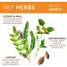 Himalaya Hello Energy Adrenal Support - Ashwagandha 60 Veg Capsules for Vitality - Buy Online on GoSupps.com