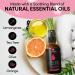 Purify & Refresh with pHresh Feminine Spray - All Natural Yoni Oil for Women with Tea Tree, Lemongrass & Orange Essential Oils - 2 oz - Buy Online on GoSupps.com