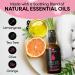 P-Hresh Feminine Spray - All Natural Yoni Oil for Women - Vaginal Odor & Itch Relief - Tea Tree, Lemongrass & Orange Essential Oils - 2 oz - Buy Online on GoSupps.com