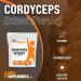 BulkSupplements Cordyceps Mushroom Extract Powder - 2000mg per Serving - 250g (8.8 oz) - Cordyceps Sinensis Supplement - Buy Online on GoSupps.com