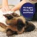 Canosept Universal Care Cloths for Dogs - 160 Wet Wipes for Ear Paw Eye & Fur Care with Aloe Vera & Hamamelis - Buy Online on GoSupps.com