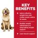 Hill's Science Diet Adult Perfect Weight Canned Wet Dog Food - Pack of 12, 12.5 Ounce Each - Buy Online on GoSupps.com