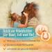 Ida Plus Beer Yeast BT 6kg | Premium Feeding Supplement for Horses & Ponies | Enhances Glossy Fur Strong Skin Supports Digestion Rich in B Vitamins & Minerals - Buy Online on GoSupps.com