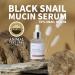 IUNIK 70% Black Snail Mucin Restore Serum - Quick absorption with Deep Hydration for Dark Spots and Fine Lines | Oily Sensitive Acne-prone Combination skin | Repair Damaged | No Clogging Pores (50ml) - Buy Online on GoSupps.com