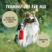 Rudelknig Food Bag for Dogs | Durable Retrieving Bag for Training | Basic Black Treat Dummy - Buy Online on GoSupps.com