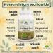 Bitter Gourd (Karela) Capsule 60 Ct - Natural Diabetes Support - Buy Online on GoSupps.com
