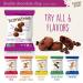 Homefree Double Chocolate Chip Mini Cookies - Gluten-Free, Single Serve (Pack of 10) - Buy Online on GoSupps.com