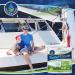 Freedom Living RV Toilet Paper - 2-Ply, 8 Rolls, 500 Sheets - Biodegradable & Septic Tank Safe for Camping, Marine & RV Holding - Buy Online on GoSupps.com