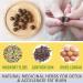 30/60Pcs Perfect Detox Slimming Patch Effective Ancient Remedy Healthy Detox Slimming Belly Pellet Herbal Slimming Tummy Pellets Mugwort Navel Sticker (30pcs) 0.07 g (Pack of 30) - Buy Online on GoSupps.com