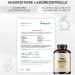 Bionutra Organic Ginger Capsules - 270 x 600 mg Vegan & Gluten-Free High-Dose Residue-Controlled German Quality - 9-Month Supply - Buy Online on GoSupps.com