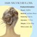 CAISHA JUMBO Hair Tie | Floral Updo Accessory for Bridal & Wavy Hairstyles | DM 17cm Light Brown Gray Mix | International Shipping - Buy Online on GoSupps.com
