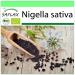 SAFLAX - Organic - Black Cumin - 300 Seeds - Nigella Sativa