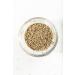 McCormick Gourmet Organic Celery Seed 1.62 oz - Premium Quality Spice - Buy Online on GoSupps.com
