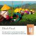 Yunnan Black Dragon Pearls Tea - Strong and Malty Pearl - Golden Special Grade 100g Yunnan Black Pearl 100g - Buy Online on GoSupps.com